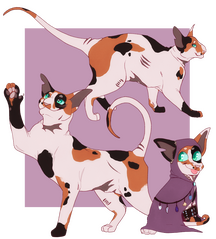 Simple Reference Sheet + 2 Fullbodies